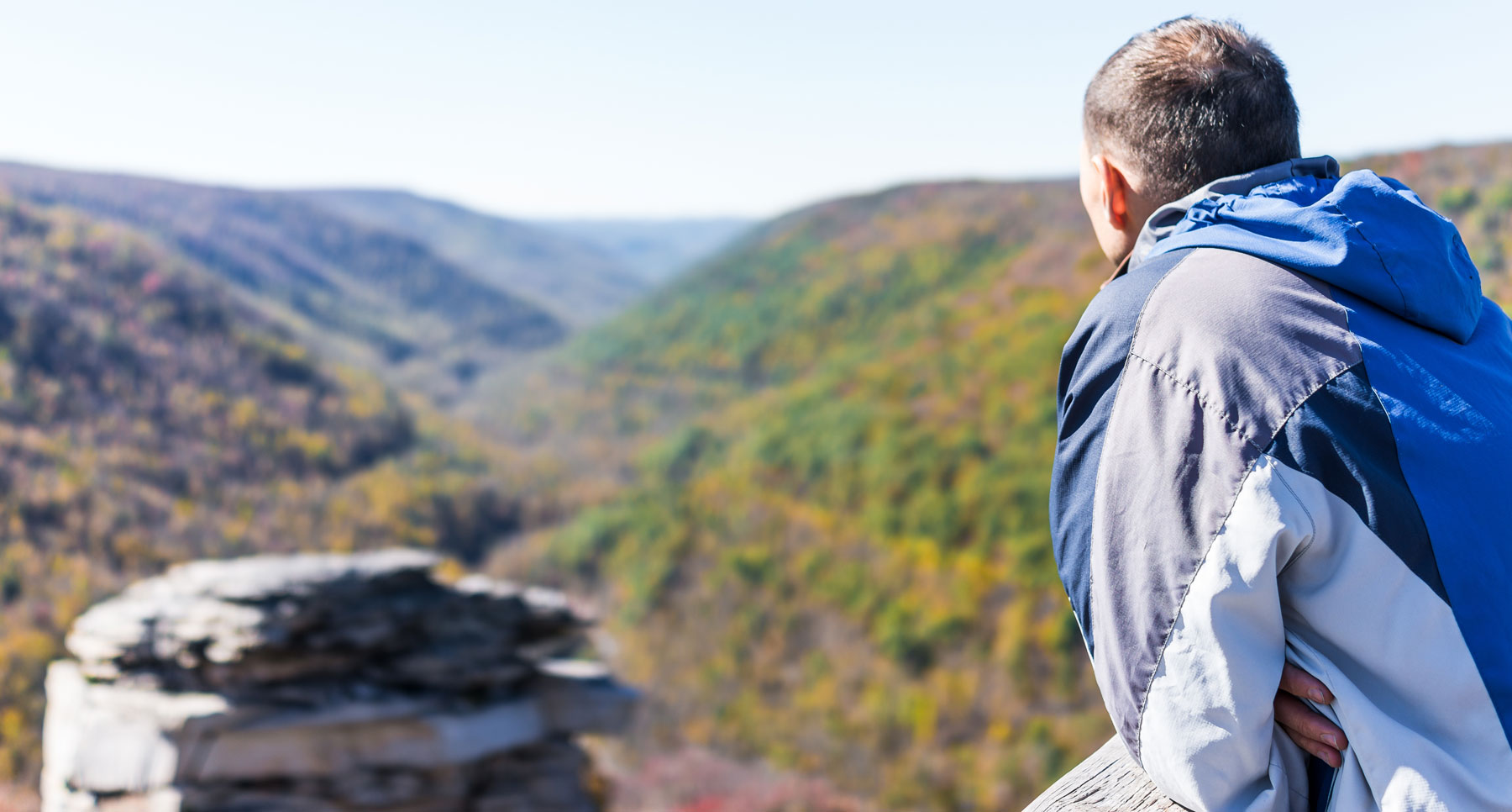 ወደ ጫካ የሚመለከት ሰው