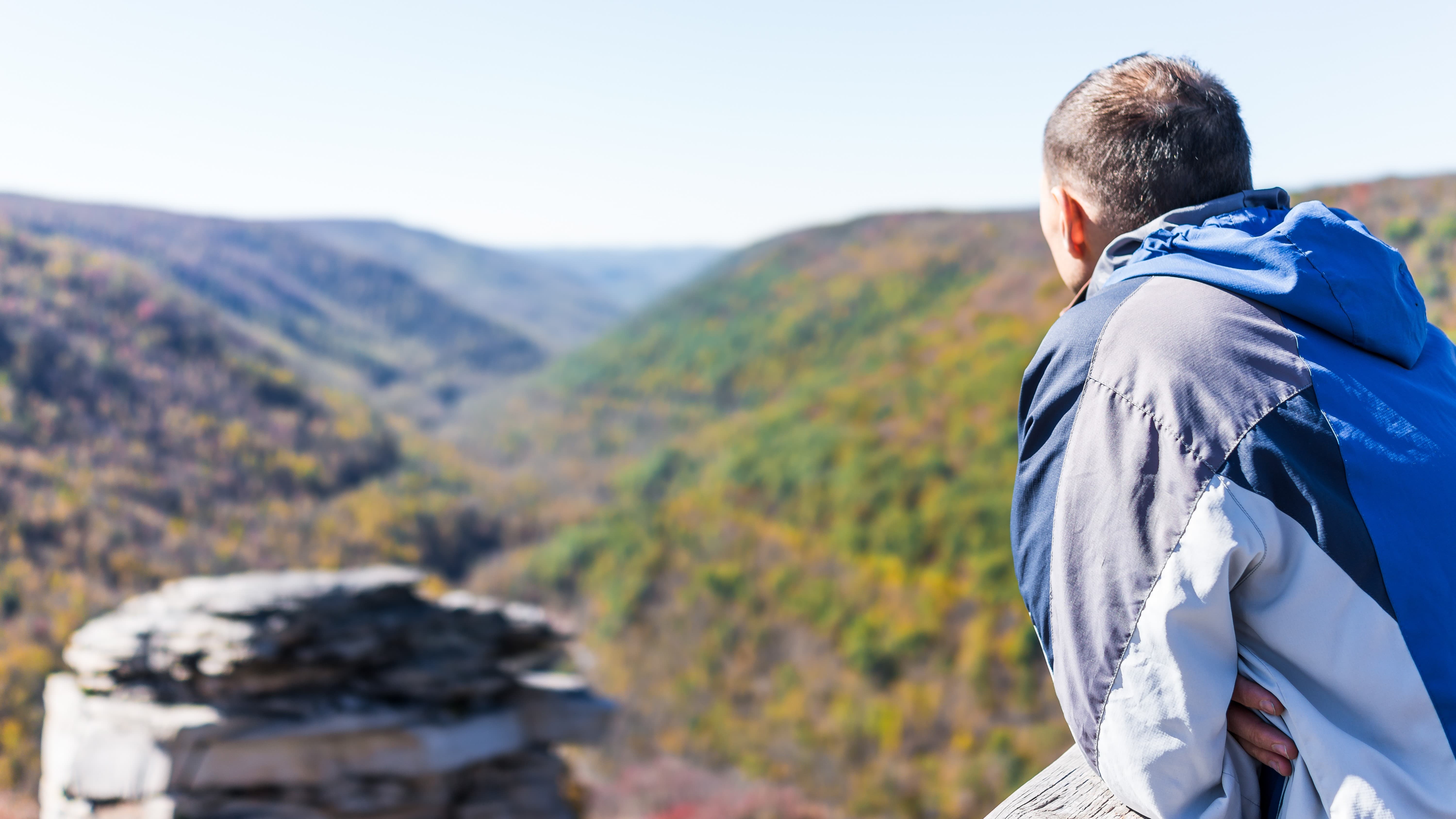 ጫካ ላይ መመልከት